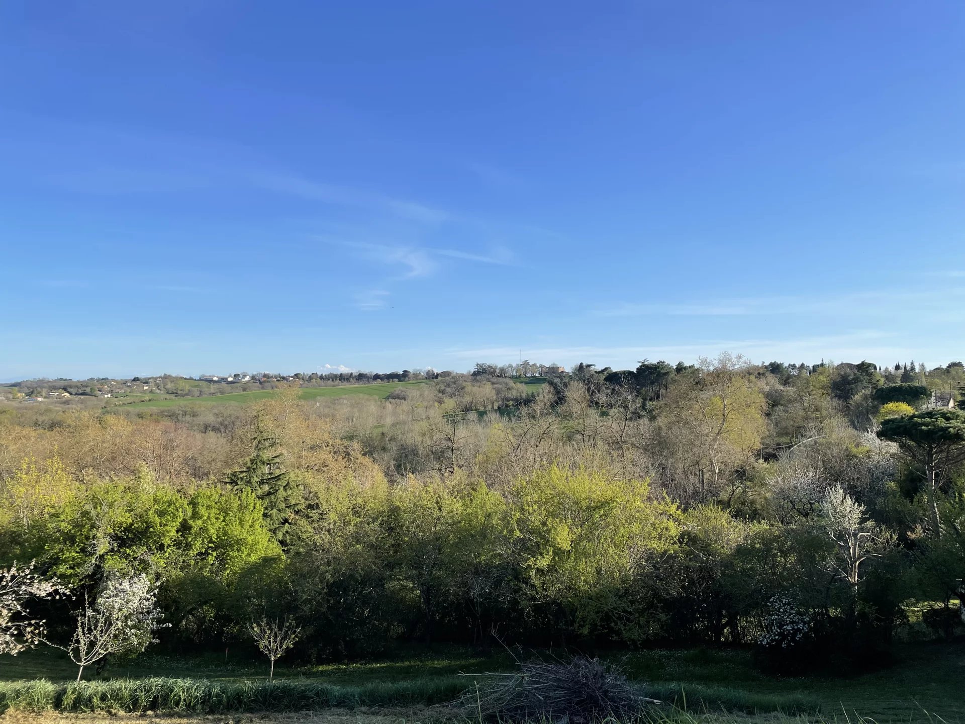 Auzeville-Tolosane--85690678-149023846.jpg