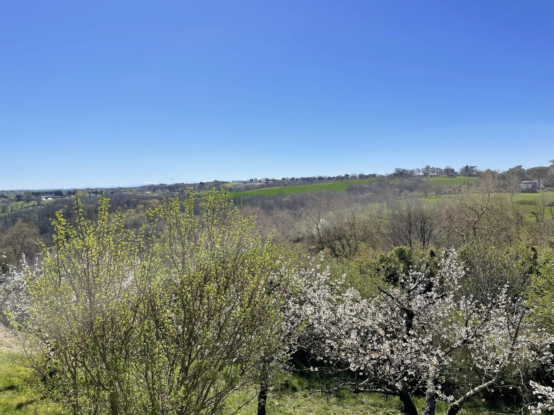 Auzeville-Tolosane--85779792-164996977.jpg